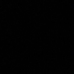 Meet your Posher, Jasmin